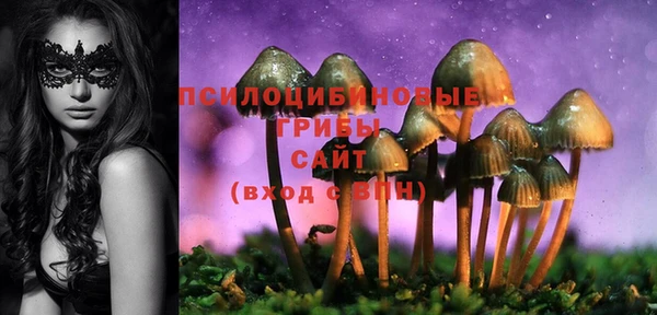 стаф Покачи