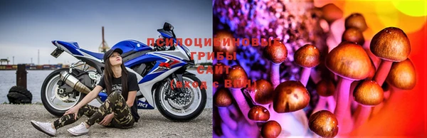 прущая мука Алзамай