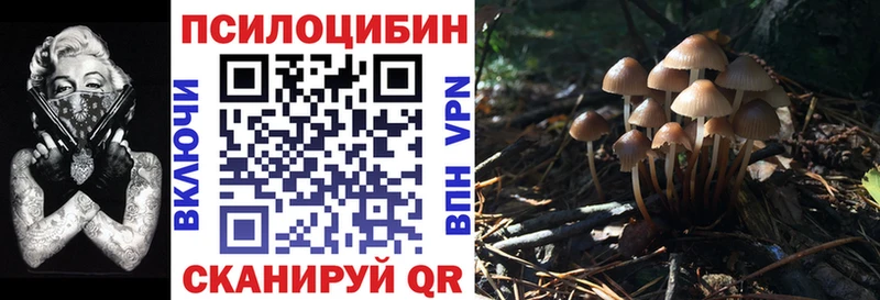 Галлюциногенные грибы Cubensis  нарко площадка состав  Луза  купить  